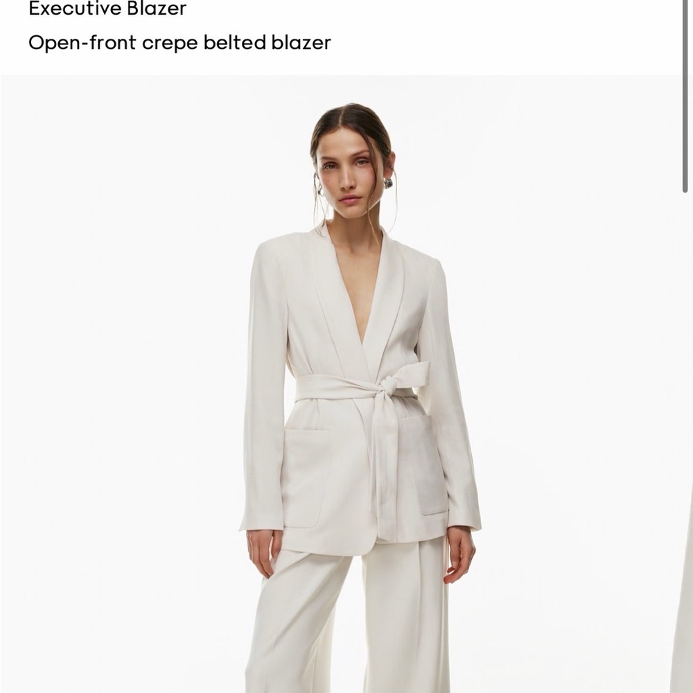 NWT Babaton Black Executive Blazer - black